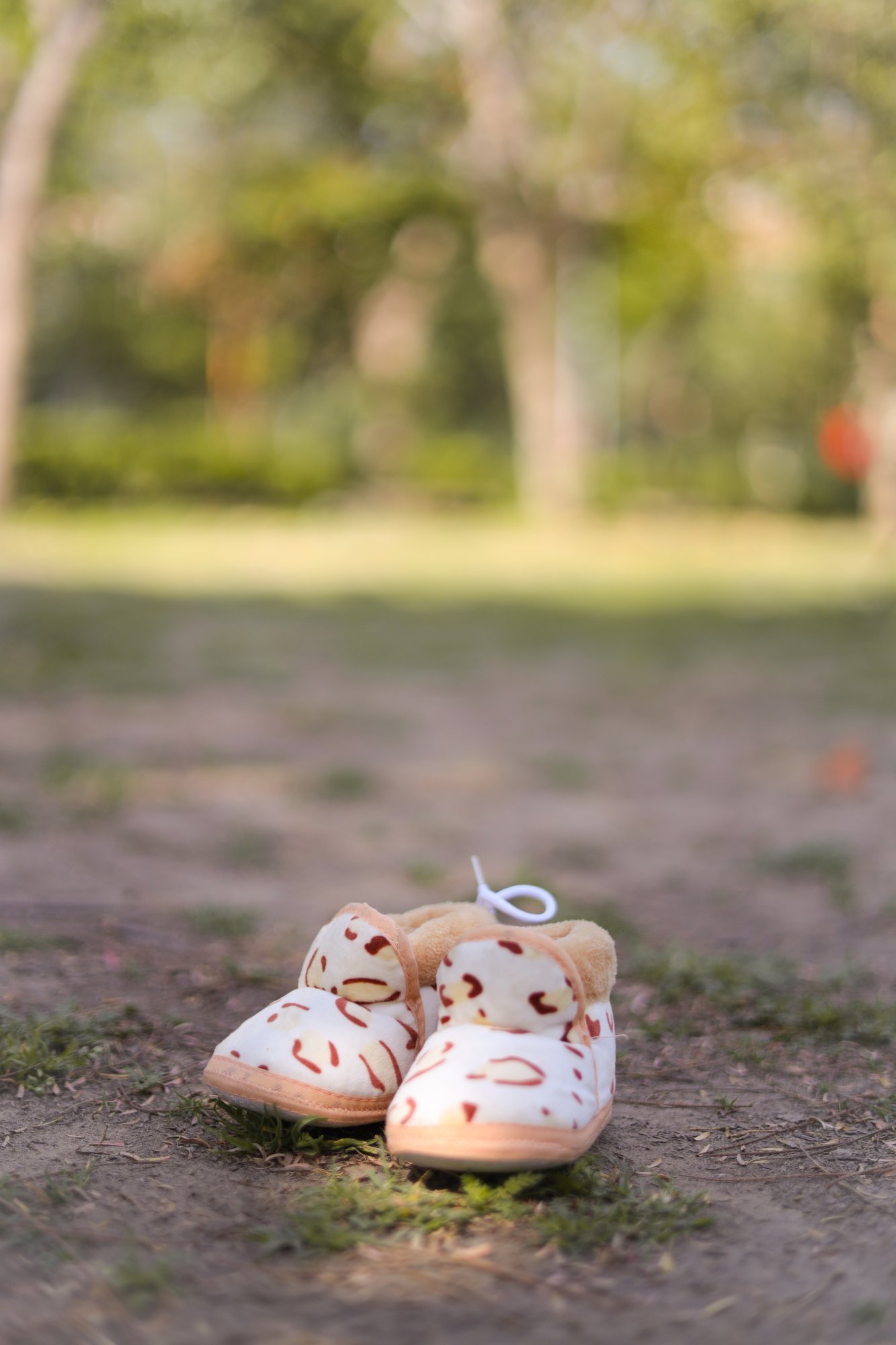 Pair of tiny baby shoes placed on a park path