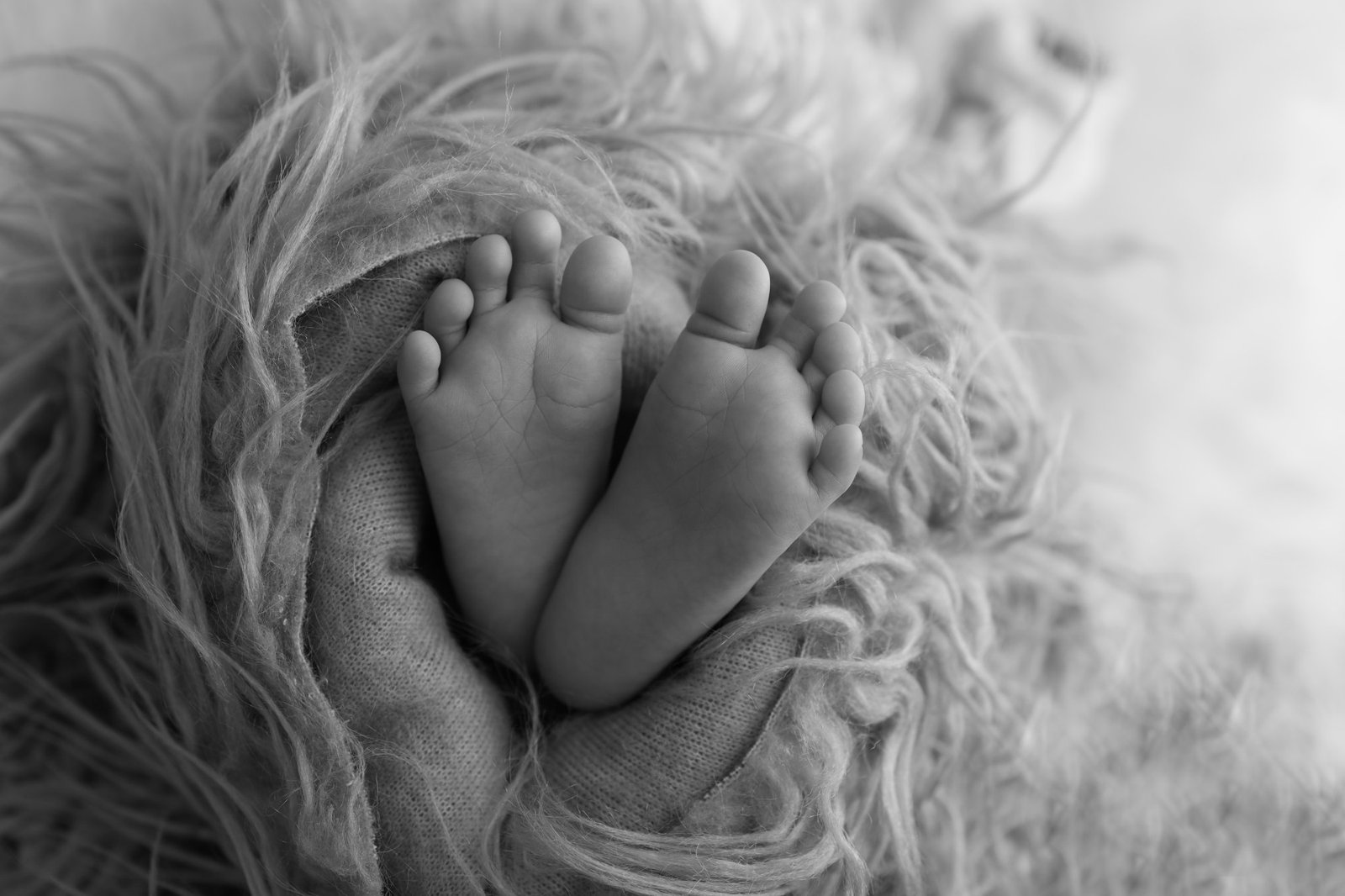 Black and white close-up of newborn feet, wrapped in knit and nestled in fur